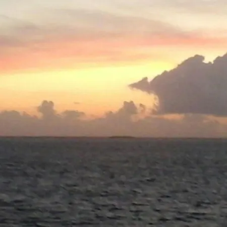 Uthlande- Starklef *